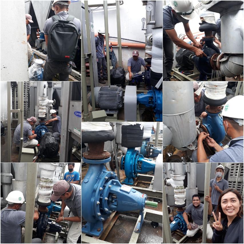 In photo: Pump Supply and Installation
