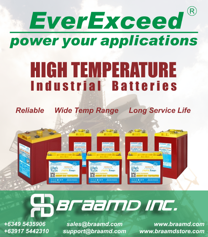 High Temperature Industrial Battery EverExceed