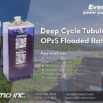 EverExceed Deep Cycle Tubular OPzS Flooded Batteries