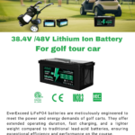 EverExceed Lithium Iron Phosphate Batteries for Golf Carts