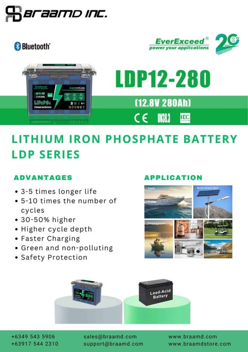 EverExceed Lithium Iron Phosphate Battery (LDP12-280)