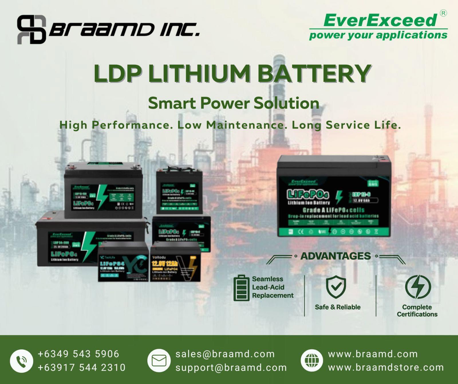 EverExceed LDP Lithium Battery