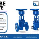 Globe valve NORI 40 ZXLF/ZXSF