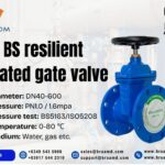 Wesdom BS Resilient Seated Gate Valve