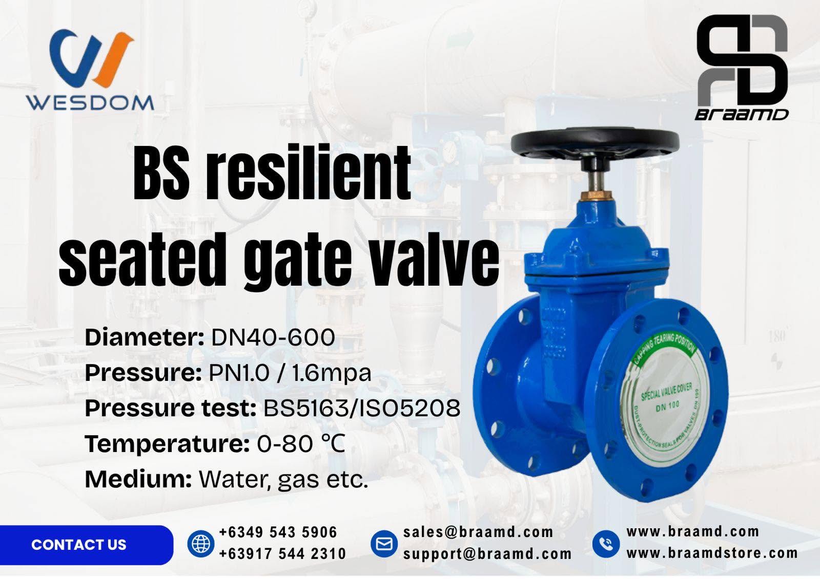 Wesdom BS Resilient Seated Gate Valve